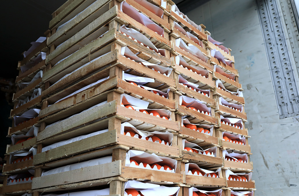 Choosing A Career In Refrigerated Trucking Mountain River Trucking